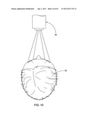 Identifying a characteristic of an individual utilizing facial recognition     and providing a display for the individual diagram and image