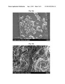 Supported Catalysts for Synthesizing Carbon Nanotubes, Method for     Preparing the Same, and Carbon Nanotubes Made Using the Same diagram and image