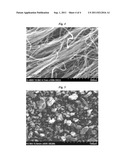 Supported Catalysts for Synthesizing Carbon Nanotubes, Method for     Preparing the Same, and Carbon Nanotubes Made Using the Same diagram and image