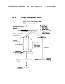 TARGETED MODULATION OF GENE EXPRESSION diagram and image