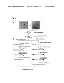 TARGETED MODULATION OF GENE EXPRESSION diagram and image