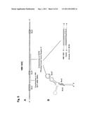 TARGETED MODULATION OF GENE EXPRESSION diagram and image