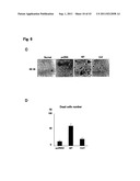 TARGETED MODULATION OF GENE EXPRESSION diagram and image