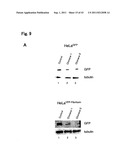 TARGETED MODULATION OF GENE EXPRESSION diagram and image