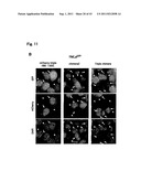 TARGETED MODULATION OF GENE EXPRESSION diagram and image