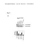 TARGETED MODULATION OF GENE EXPRESSION diagram and image