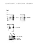 TARGETED MODULATION OF GENE EXPRESSION diagram and image