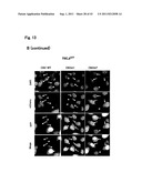 TARGETED MODULATION OF GENE EXPRESSION diagram and image