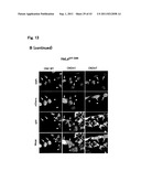 TARGETED MODULATION OF GENE EXPRESSION diagram and image