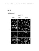 TARGETED MODULATION OF GENE EXPRESSION diagram and image