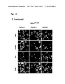 TARGETED MODULATION OF GENE EXPRESSION diagram and image