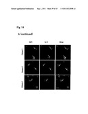 TARGETED MODULATION OF GENE EXPRESSION diagram and image