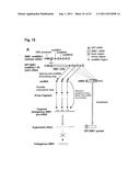 TARGETED MODULATION OF GENE EXPRESSION diagram and image