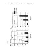 PARAMYXOVIRUS VECTOR ENCODING ANGIOGENESIS GENE AND USE THEREOF diagram and image