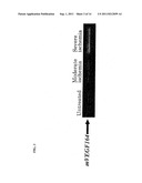 PARAMYXOVIRUS VECTOR ENCODING ANGIOGENESIS GENE AND USE THEREOF diagram and image