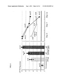 PARAMYXOVIRUS VECTOR ENCODING ANGIOGENESIS GENE AND USE THEREOF diagram and image