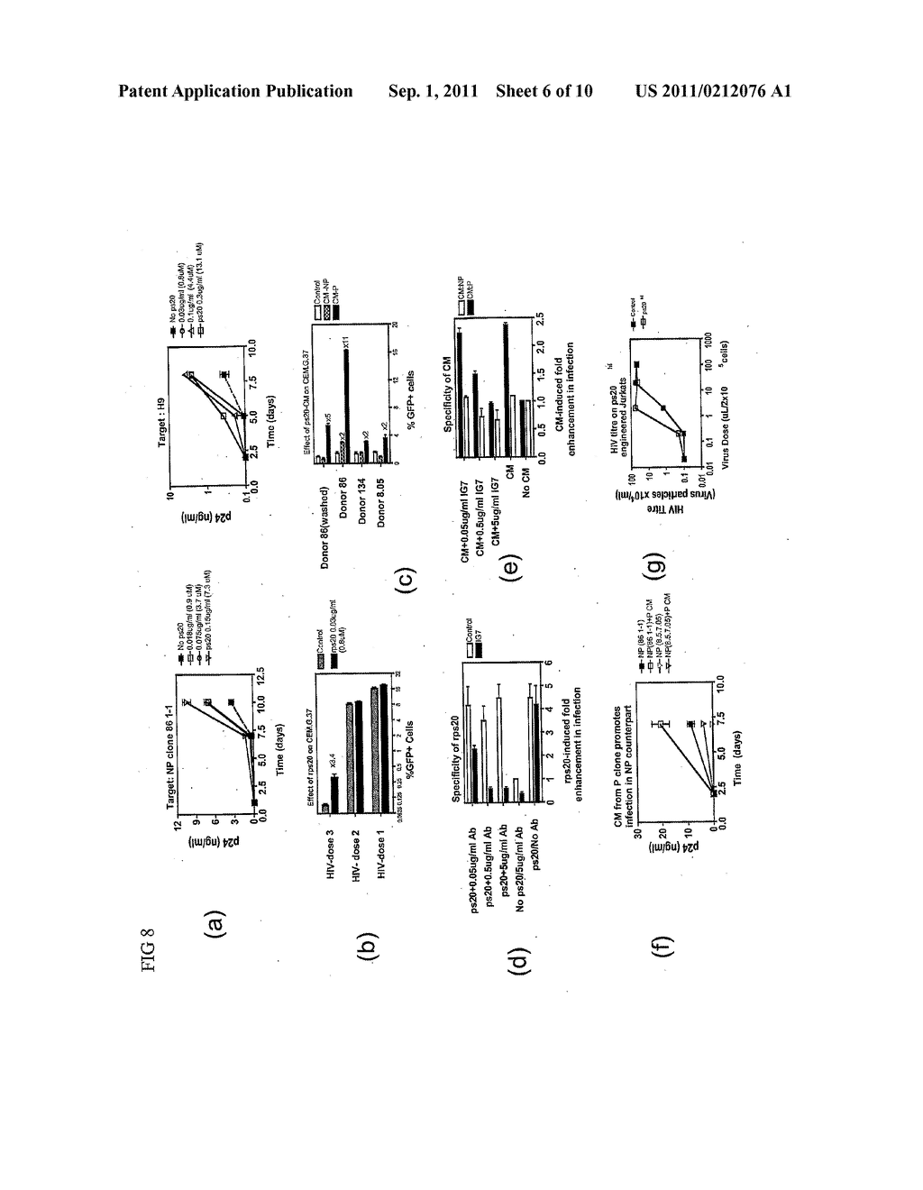 Viral Therapeutic - diagram, schematic, and image 07