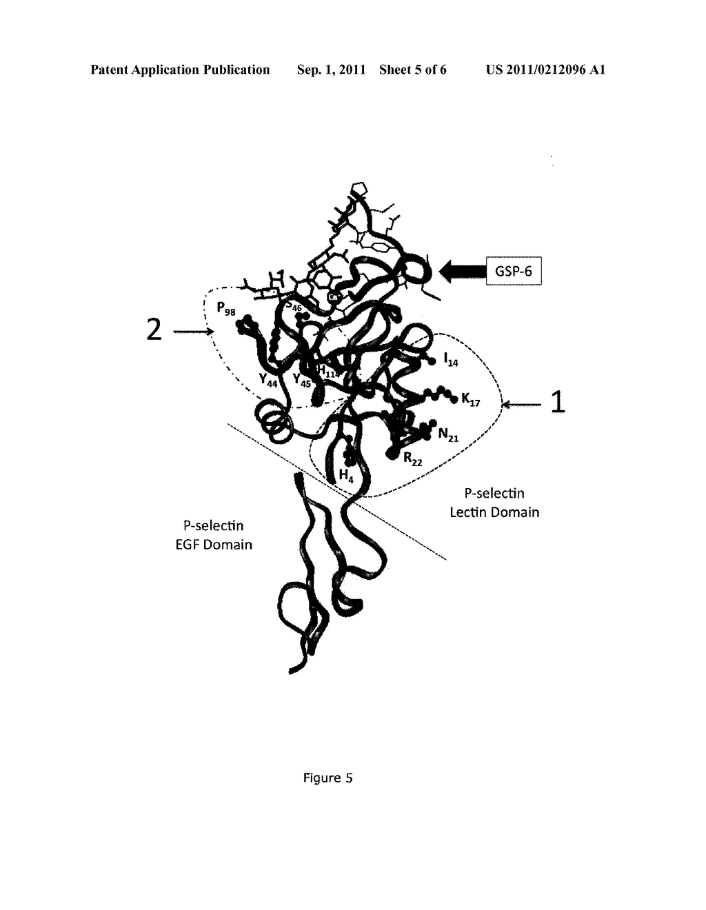 ANTI-P-SELECTIN ANTIBODIES AND METHODS OF THEIR USE AND IDENTIFICATION - diagram, schematic, and image 06