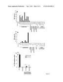 Novel Melanoma Antigen Peptide and Uses Thereof diagram and image