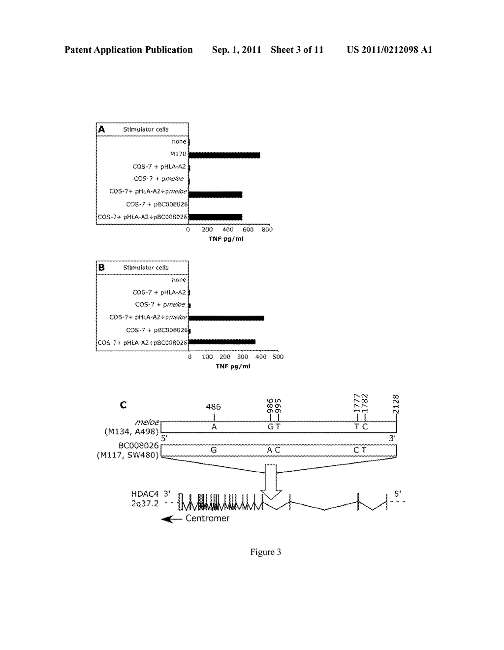 Novel Melanoma Antigen Peptide and Uses Thereof - diagram, schematic, and image 04