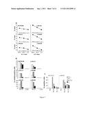 Novel Melanoma Antigen Peptide and Uses Thereof diagram and image