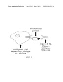 METHOD FOR MAKING TARGETED THERAPEUTIC AGENTS diagram and image