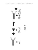 METHOD FOR MAKING TARGETED THERAPEUTIC AGENTS diagram and image