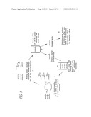 METHOD FOR MAKING TARGETED THERAPEUTIC AGENTS diagram and image