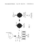 METHOD FOR MAKING TARGETED THERAPEUTIC AGENTS diagram and image