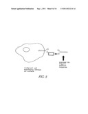 METHOD FOR MAKING TARGETED THERAPEUTIC AGENTS diagram and image