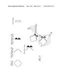 METHOD FOR MAKING TARGETED THERAPEUTIC AGENTS diagram and image