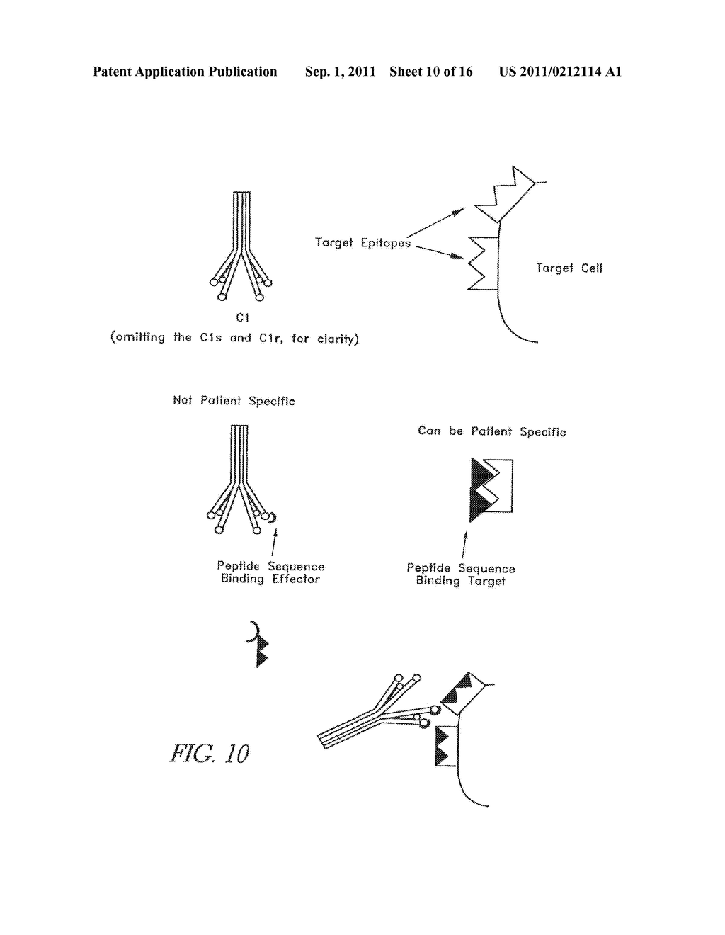 METHOD FOR MAKING TARGETED THERAPEUTIC AGENTS - diagram, schematic, and image 11