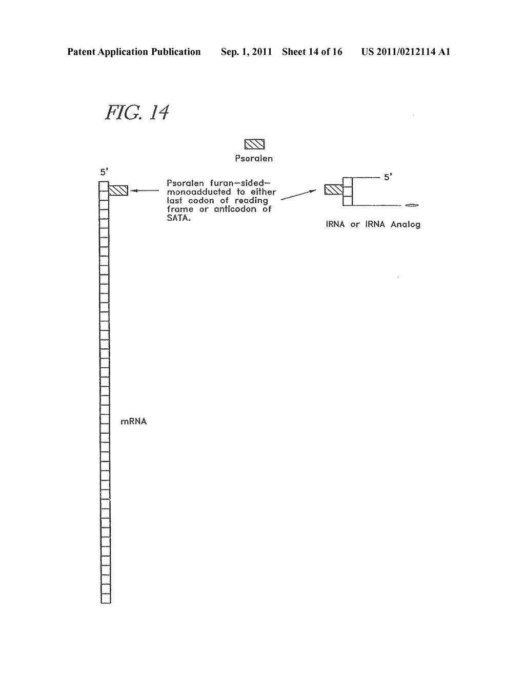 METHOD FOR MAKING TARGETED THERAPEUTIC AGENTS - diagram, schematic, and image 15