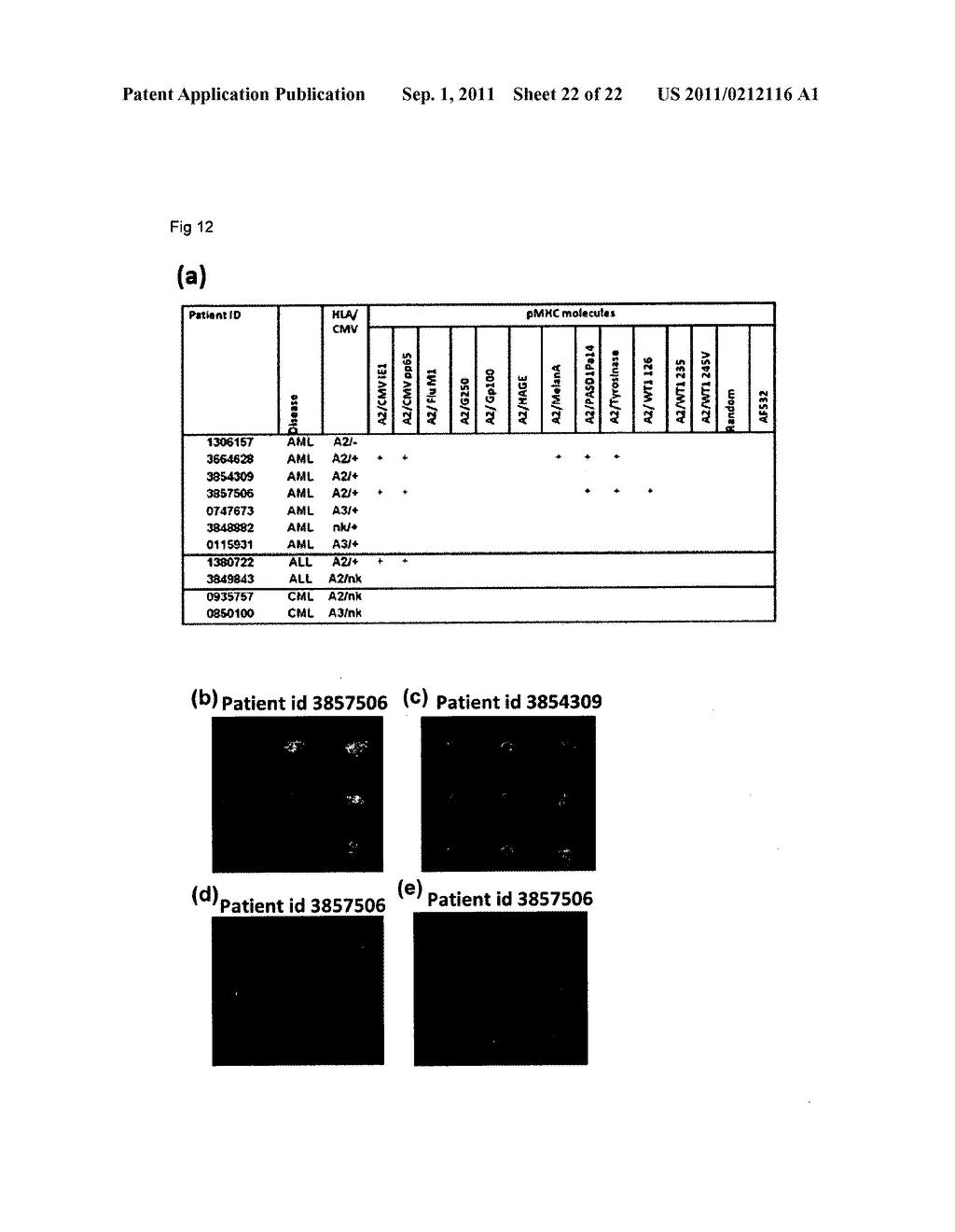 IMMUNOGENIC PEPTIDES AND USES THEREOF - diagram, schematic, and image 23