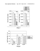 LIVE, ATTENUATED RESPIRATORY SYNCYTIAL VIRUS diagram and image