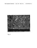 INJECTABLE DEPOT FORMULATION COMPRISING CRYSTALS OF ILOPERIDONE diagram and image