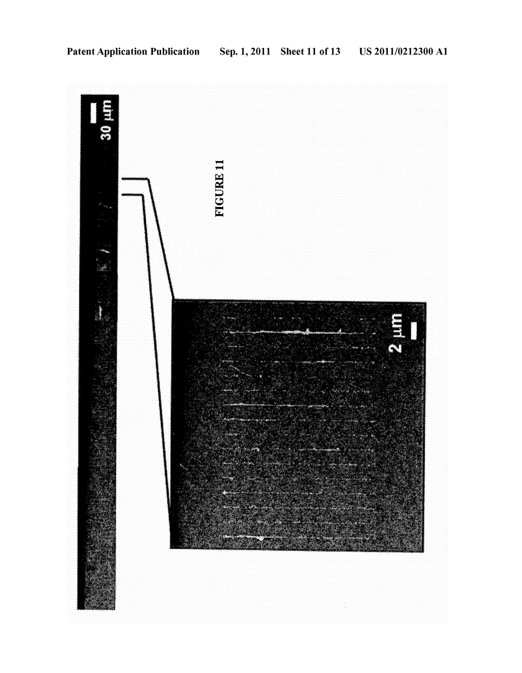 NANOTUBE ASSEMBLY - diagram, schematic, and image 12