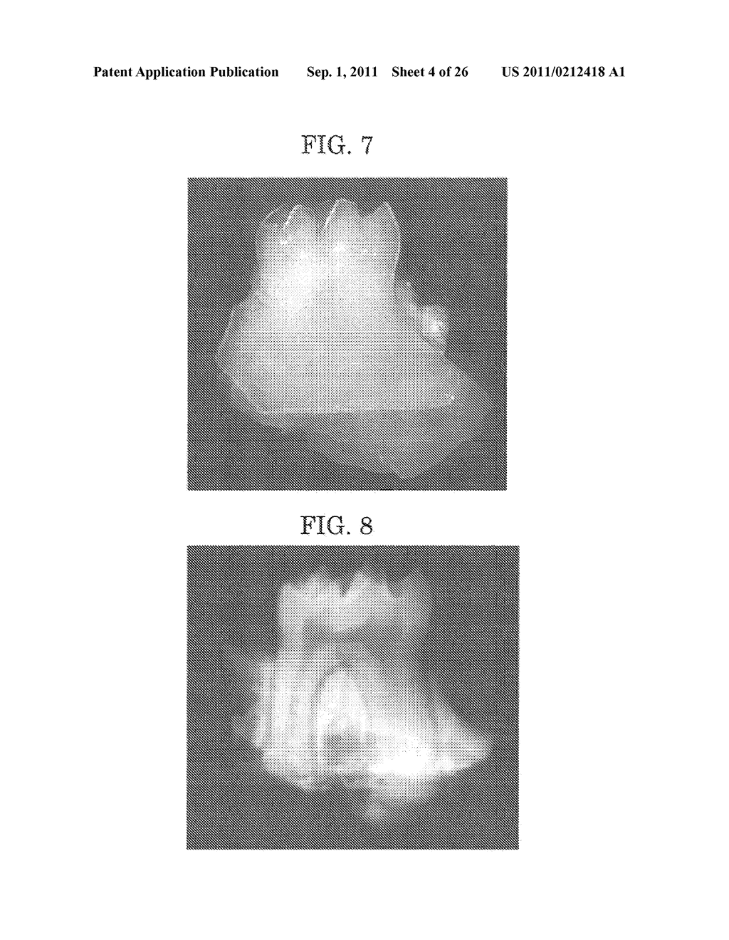 METHODS FOR FORMING TOOTH ROOT AND PERIODONTAL TISSUE UNIT, AND     REGENERATED TOOTH - diagram, schematic, and image 05