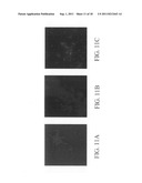 Method for determining the specific growth rate of distinct microbial     populations in a non-homogeneous system diagram and image