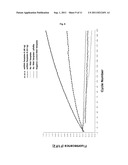 RNA DETECTION METHOD diagram and image