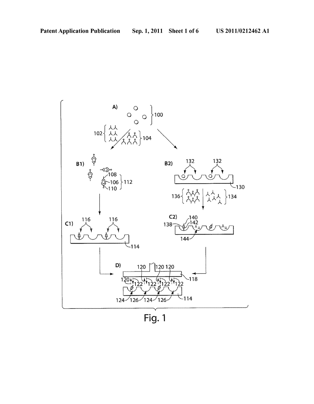 ULTRA-SENSITIVE DETECTION OF MOLECULES USING DUAL DETECTION METHODS - diagram, schematic, and image 02