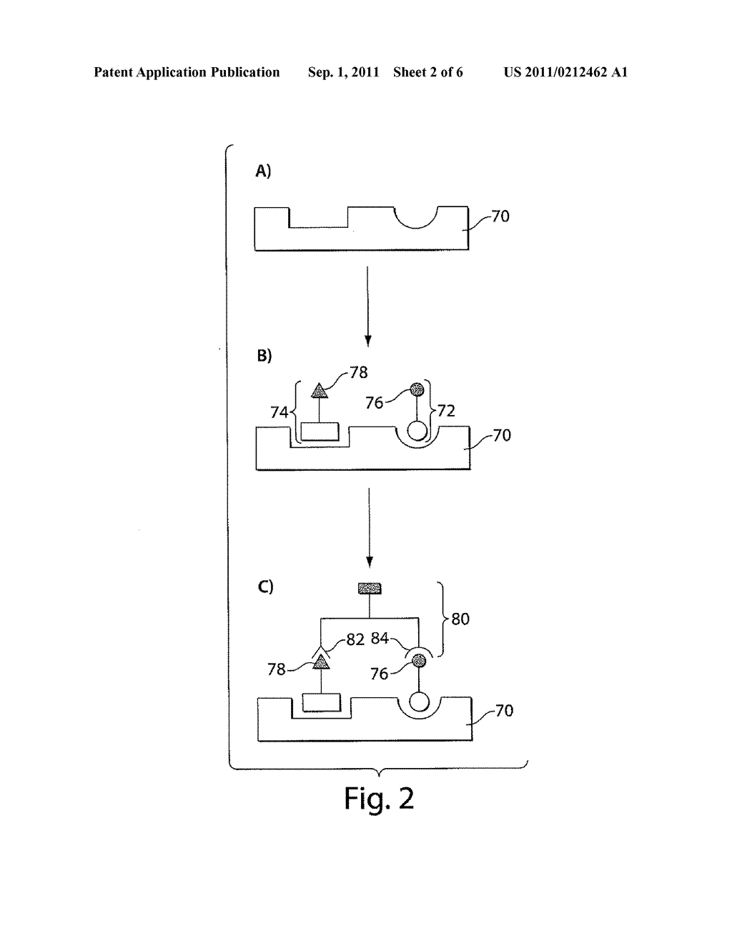 ULTRA-SENSITIVE DETECTION OF MOLECULES USING DUAL DETECTION METHODS - diagram, schematic, and image 03