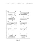 ULTRA-SENSITIVE DETECTION OF MOLECULES USING DUAL DETECTION METHODS diagram and image