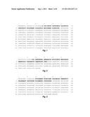 MMP ACTIVATION PEPTIDE DETECTION IN BIOLOGICAL SAMPLES diagram and image