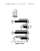 MMP ACTIVATION PEPTIDE DETECTION IN BIOLOGICAL SAMPLES diagram and image