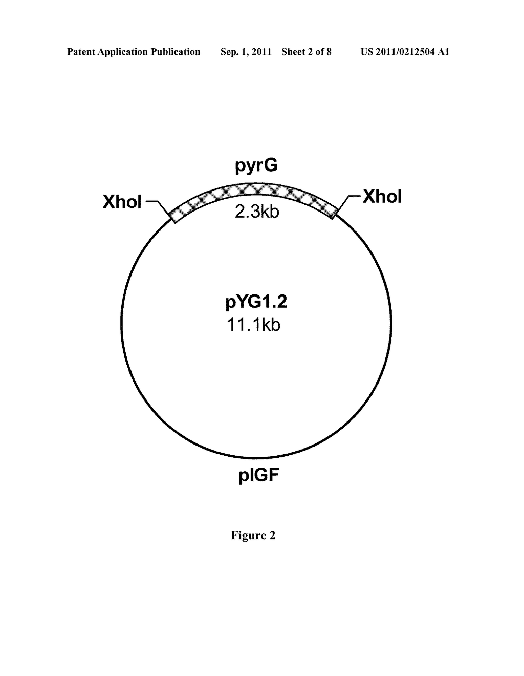 RECOMBINANT EXPRESSION OF CARBOXYLESTERASES - diagram, schematic, and image 03