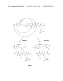 Mass Spectrometry-Based Protein Identification Method diagram and image