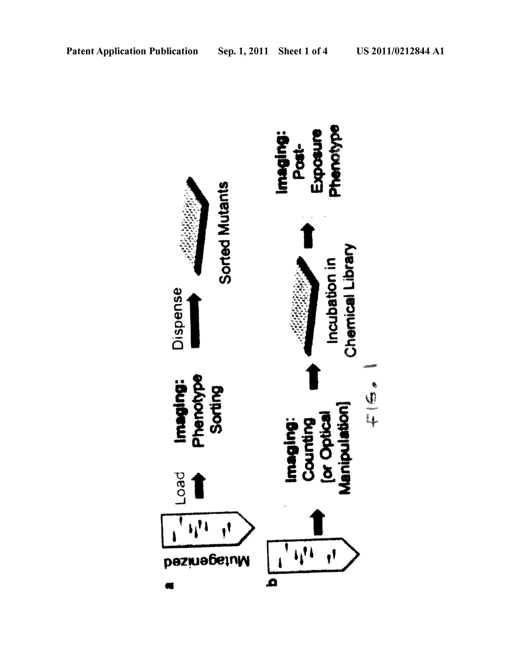 HIGH-THROUGHPUT PLATFORM FOR IN-VIVO SUB-CELLULAR SCREENS ON VERTEBRATE     LARVAE - diagram, schematic, and image 02