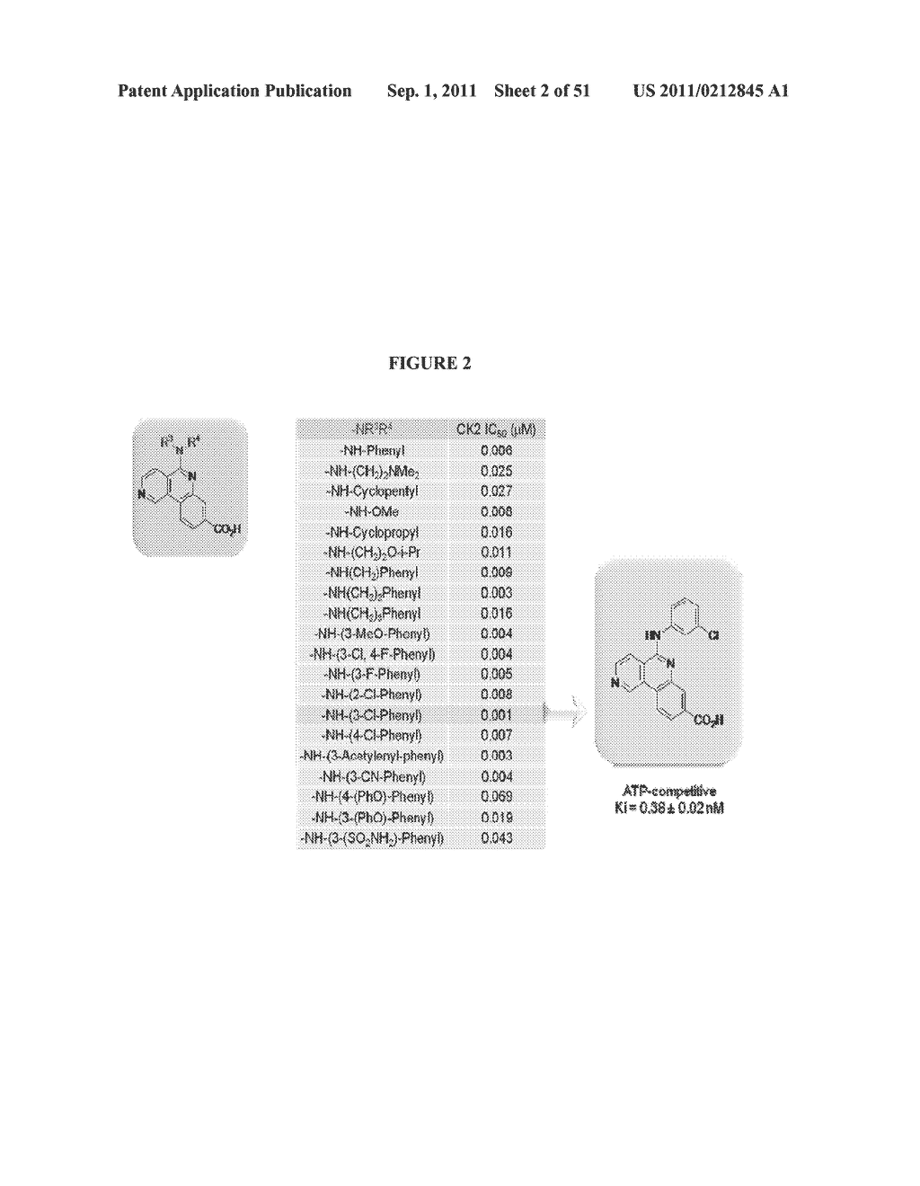 Biomarkers for predicting the sensitivity and response of protein kinase     CK2-mediated diseases to CK2 Inhibitors - diagram, schematic, and image 03