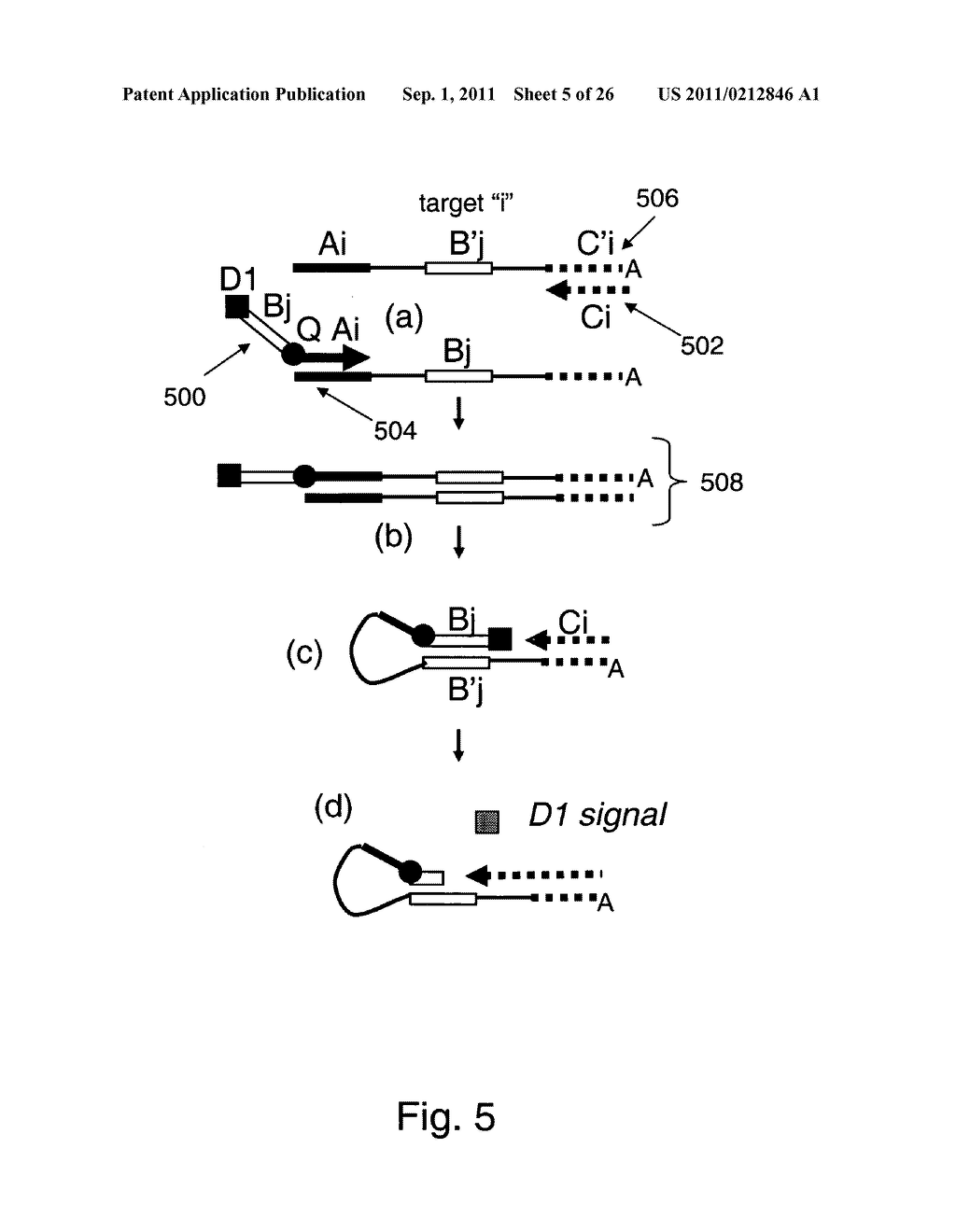 Methods and compositions for universal detection of nucleic acids - diagram, schematic, and image 06